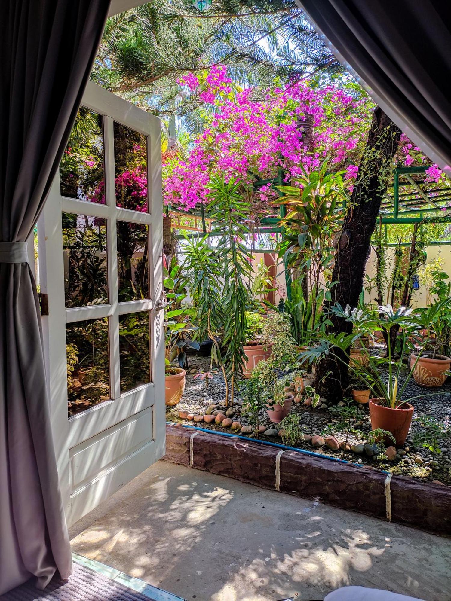 Olana Bed And Breakfast Labrador Exterior photo